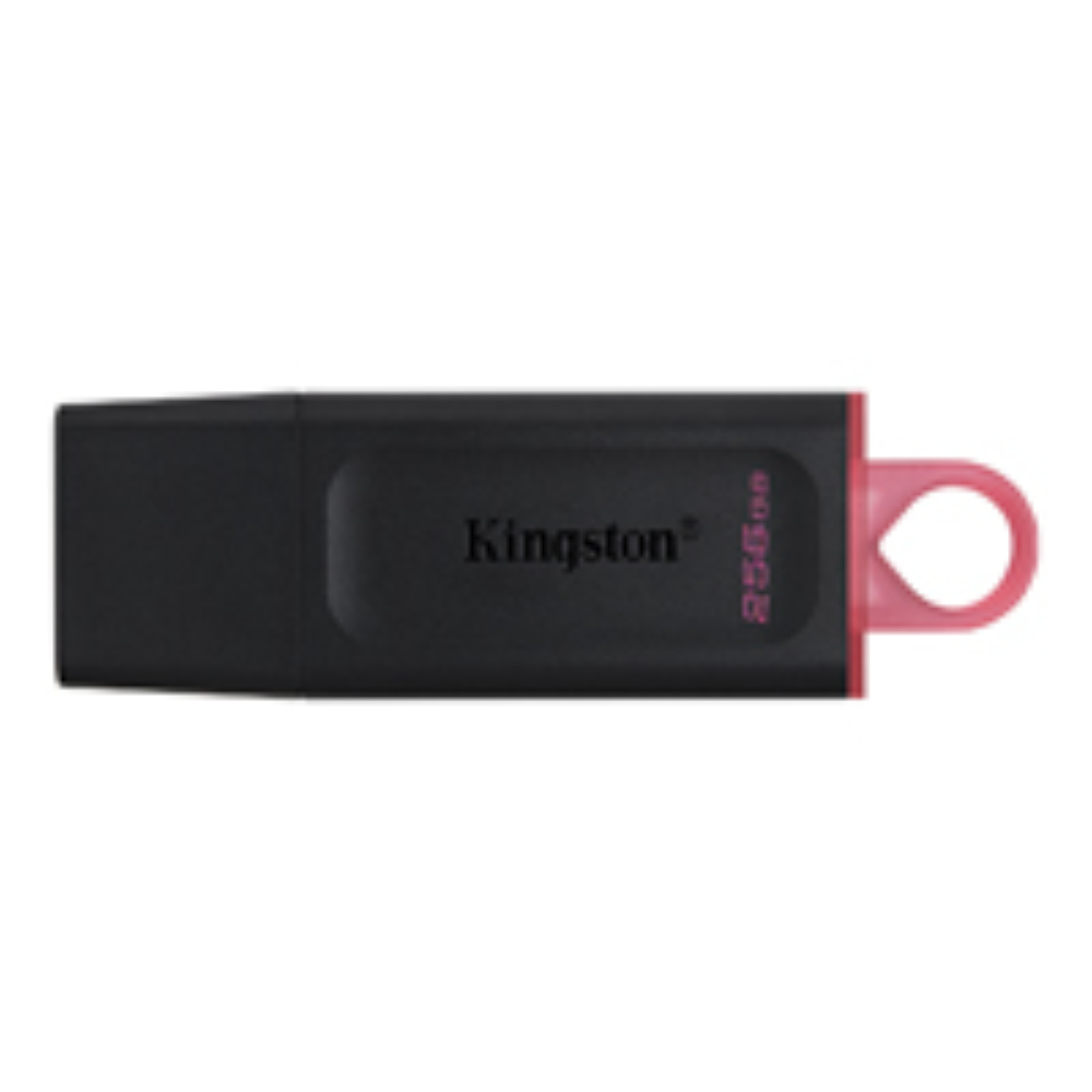 MEMORIA USB 256 GB